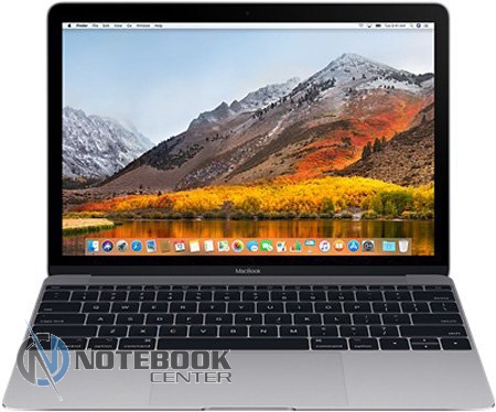 Apple MacBook 12 Space Grey MNYF2RU/A