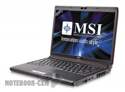 MSI EX300