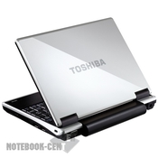 Toshiba NB100-11B