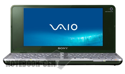 Sony VAIO VGN-P29VRN/Q
