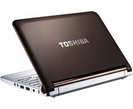 Toshiba NB305-10K