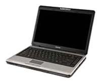 Toshiba Satellite ProM300-S1002V